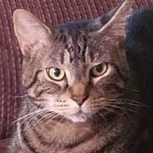 Meet your Posher, Joan